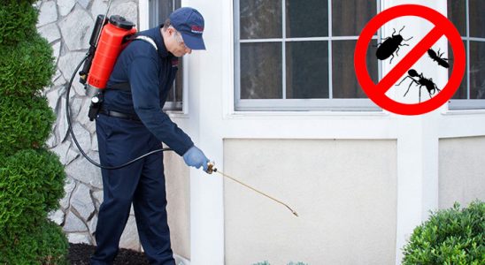 Köprübaşı Gümüşkurt İlaçlama böcek ilaçlama ve haşere kontrolü — ilaclama-tr.com